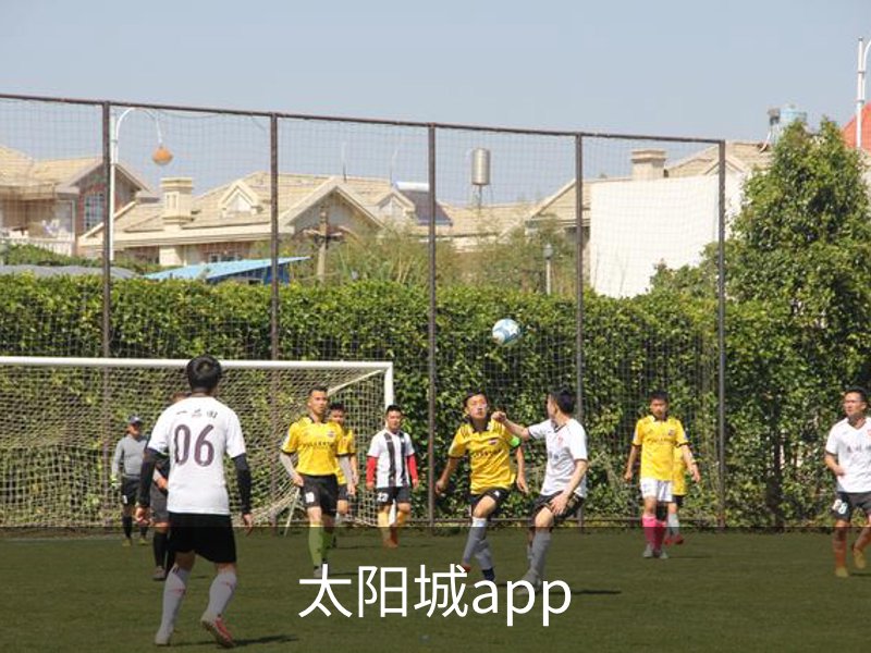 了解太阳城app